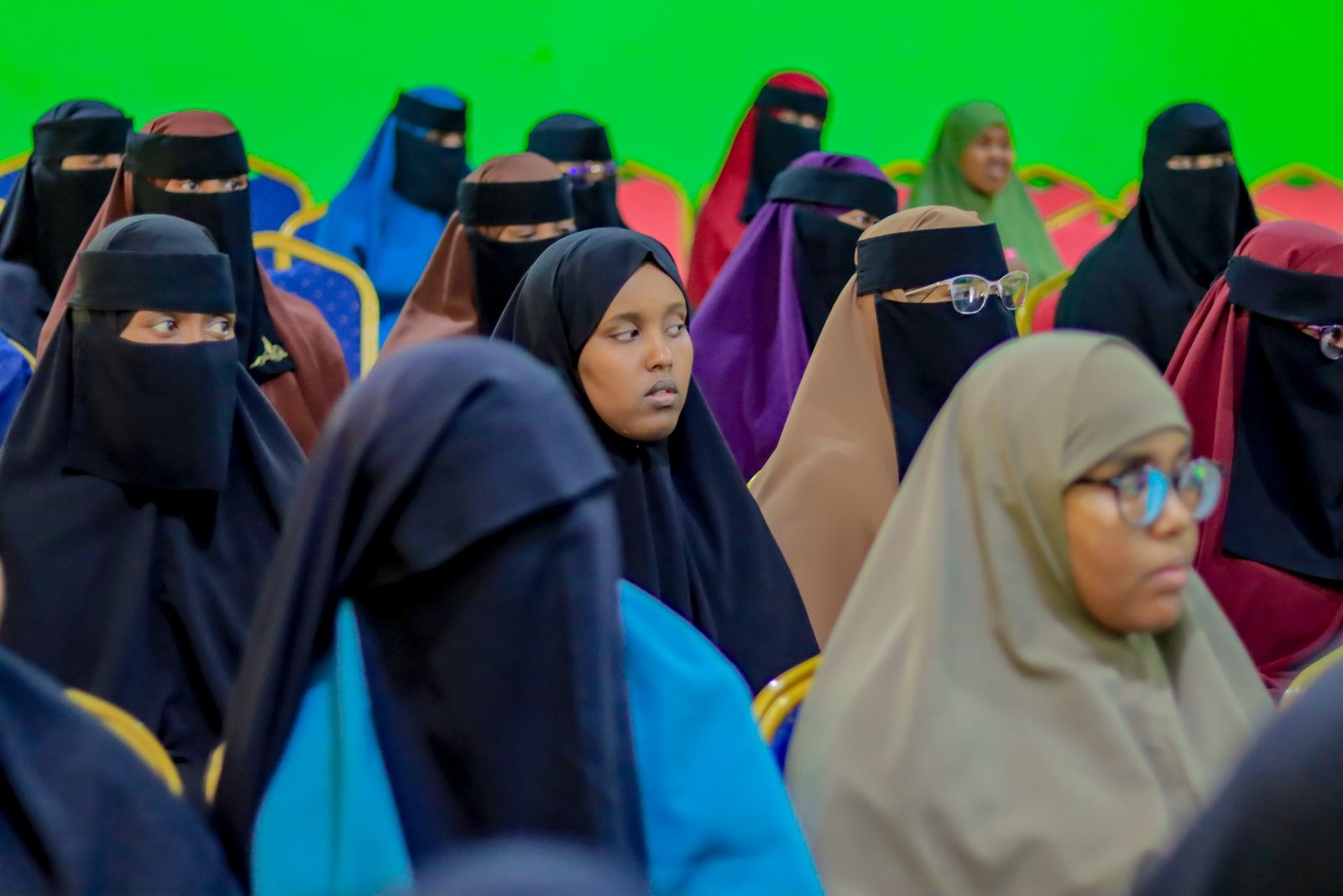 Sawirada Dawrada : Hababka Barbaarinta iyo Xanaanada Caruurta.