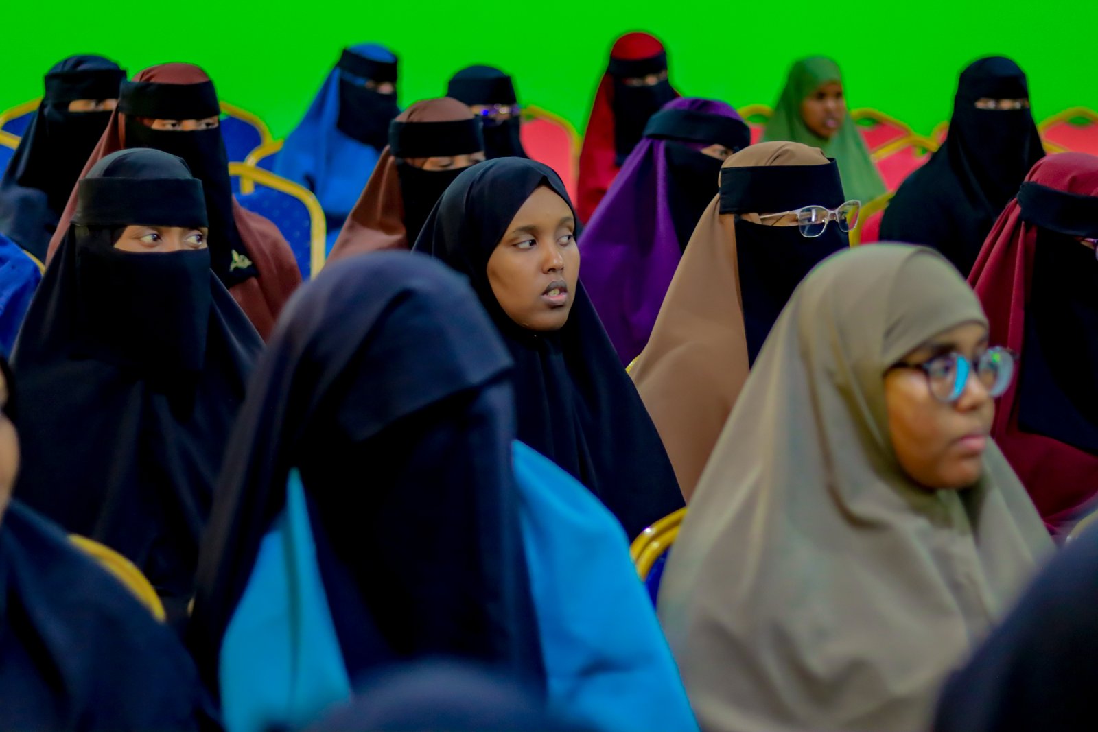 Sawirada Dawrada : Hababka Barbaarinta iyo Xanaanada Caruurta.