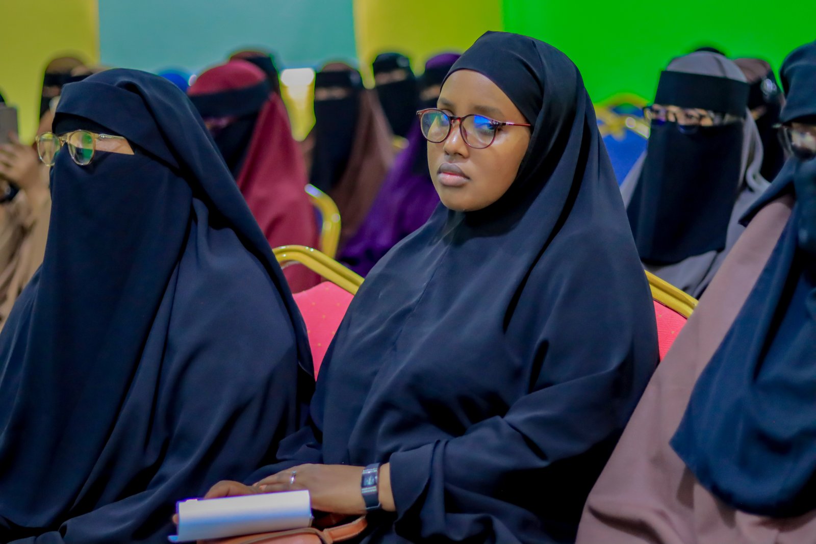 Sawirada Dawrada : Hababka Barbaarinta iyo Xanaanada Caruurta.