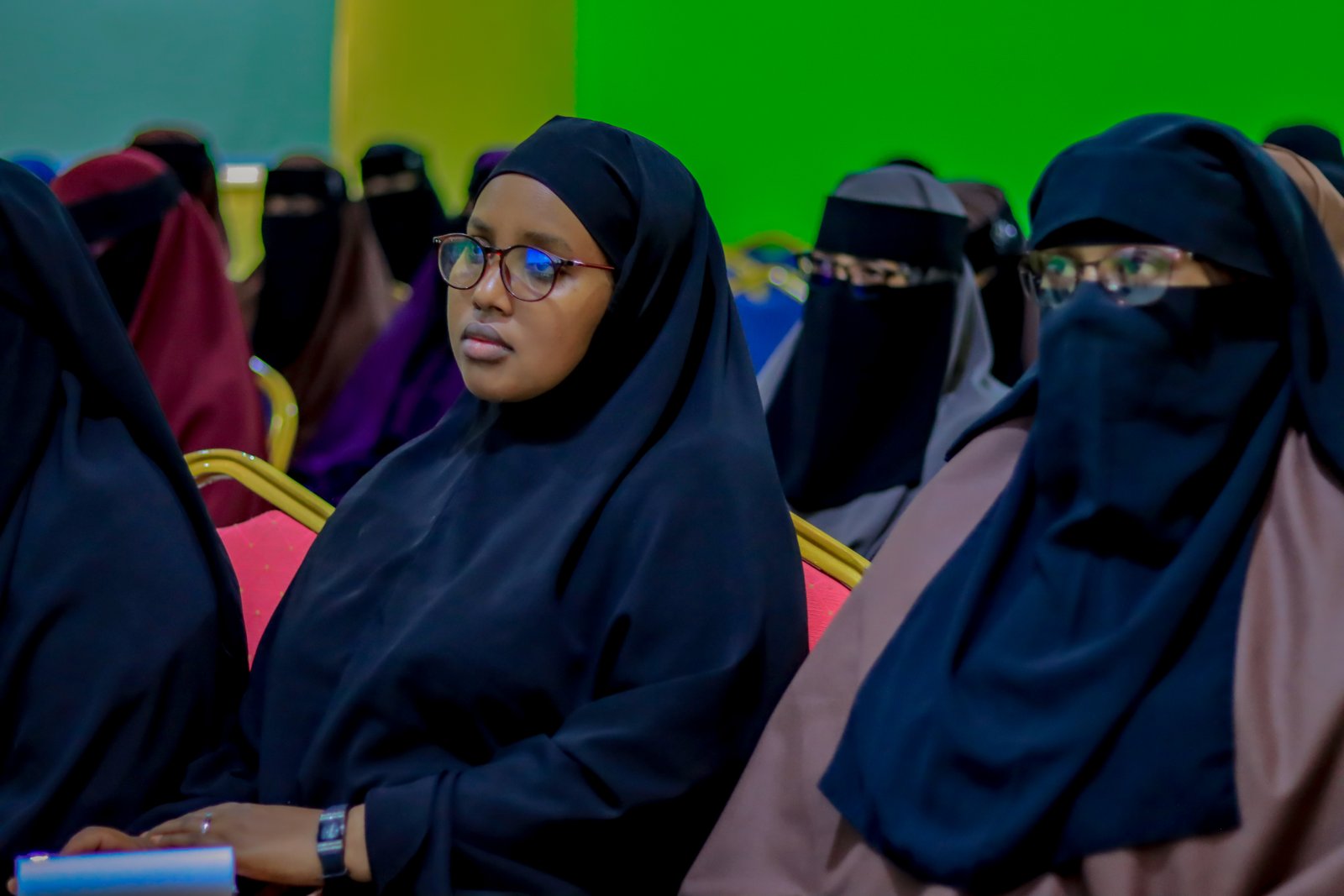 Sawirada Dawrada : Hababka Barbaarinta iyo Xanaanada Caruurta.